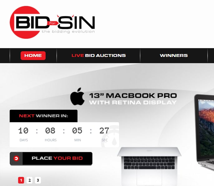 Bidforsin.com auction interface showing categorised lots and bidding controls